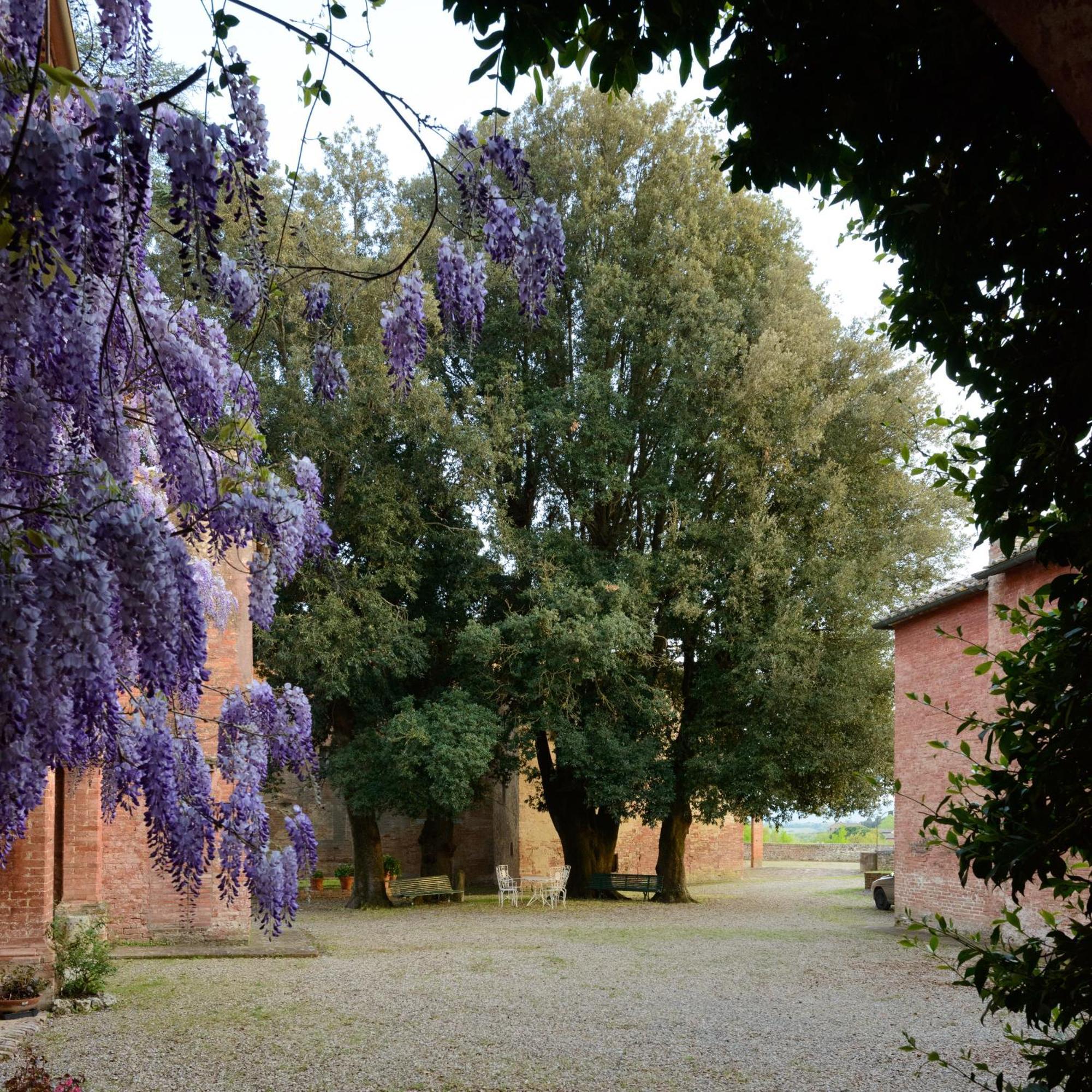 Al Glicine Di Sant'Abondio Βίλα Σιένα Εξωτερικό φωτογραφία