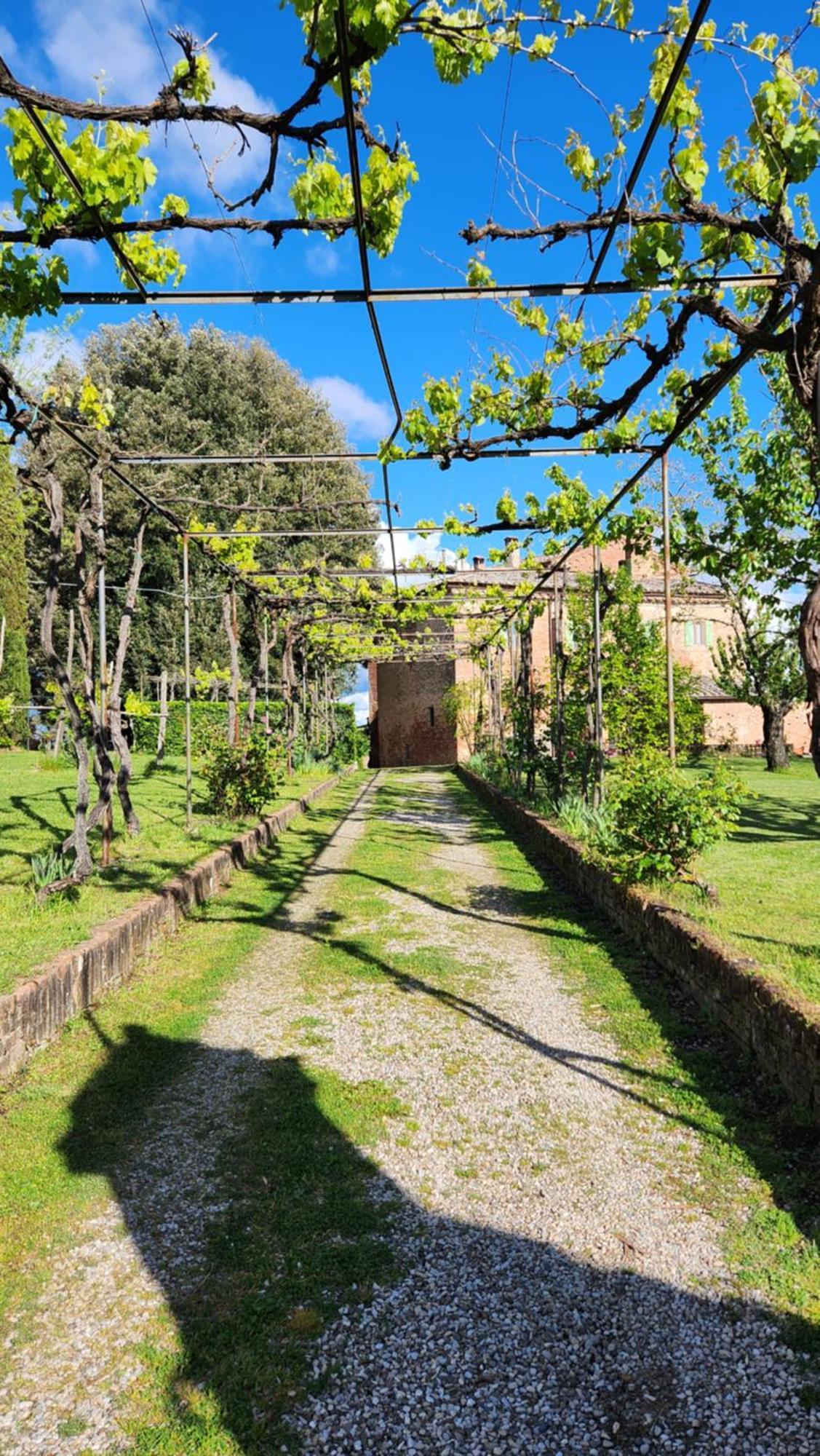 Al Glicine Di Sant'Abondio Βίλα Σιένα Εξωτερικό φωτογραφία